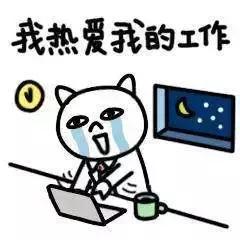 这一年猫狗又吃了多少亏，挨了多少苦，受了多少骗？宠物315。