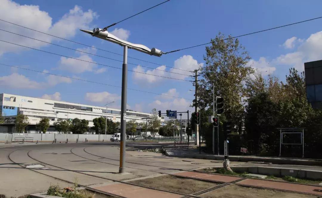 从蓉2来|天天看见“叮叮猫”跑来跑去的,它到底在忙什么啊?