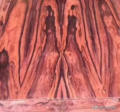 什么是巴里黄檀花枝,微凹黄檀是花枝吗