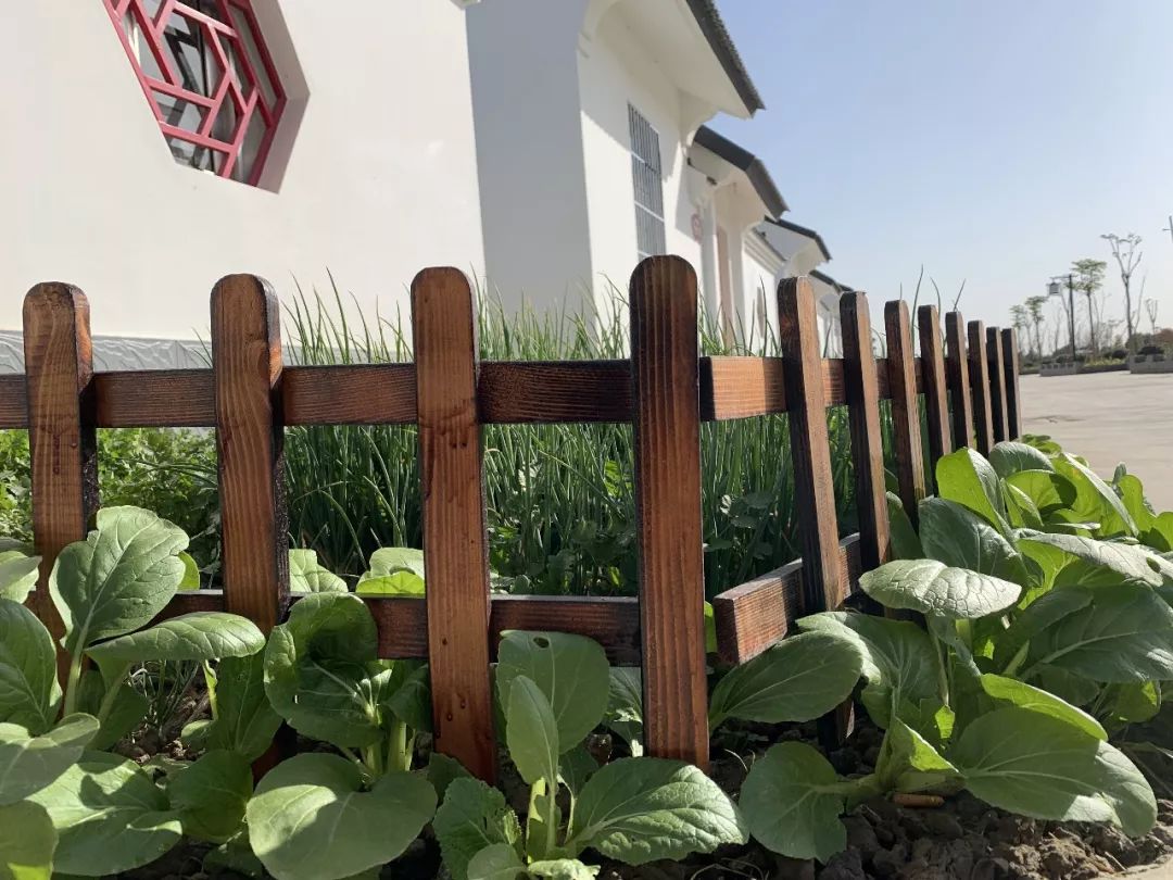 盐城新农村最新规划,苏北农房改善