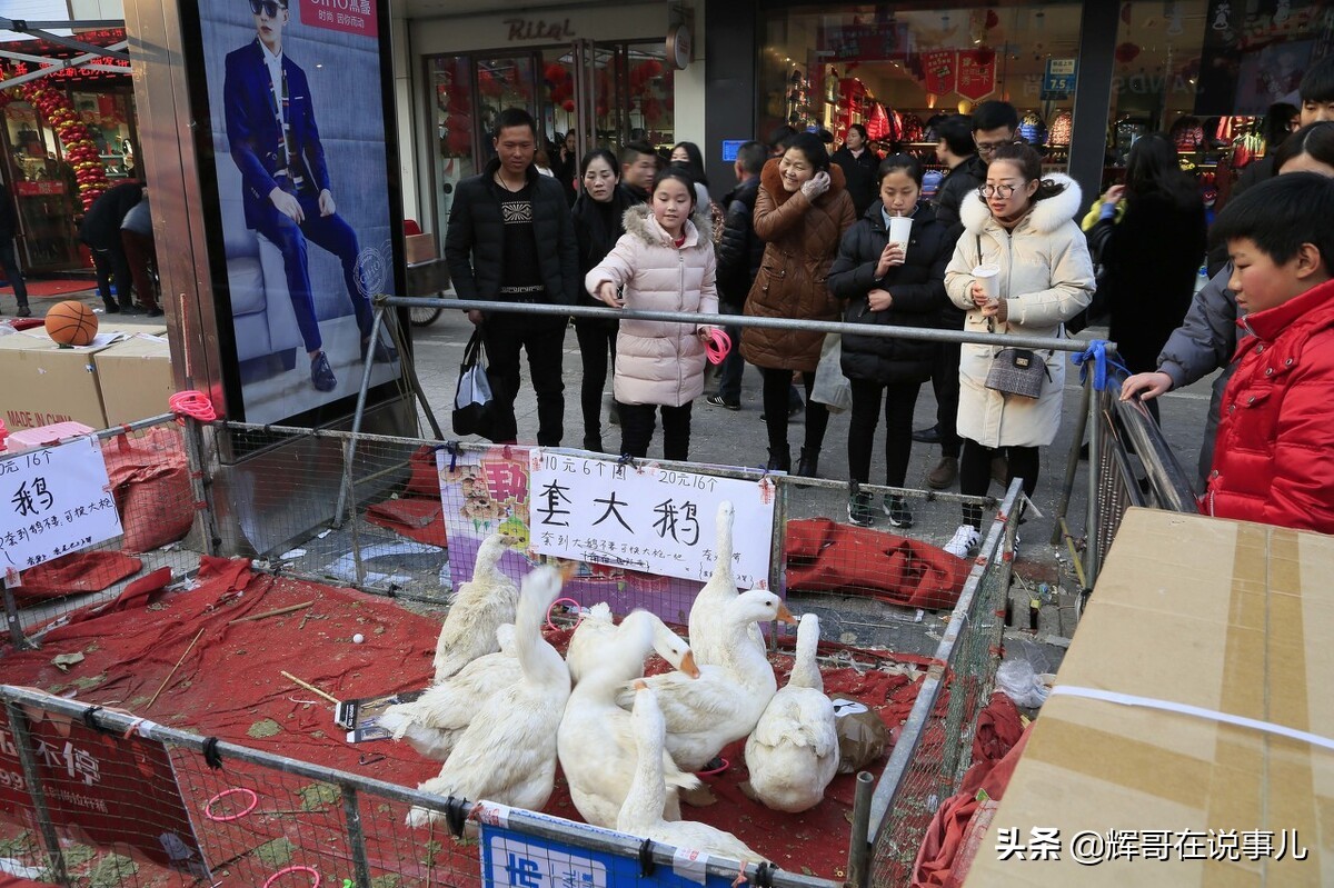 卖烤鹅一个月挣百十万,摆地摊套鹅一天能挣多少钱