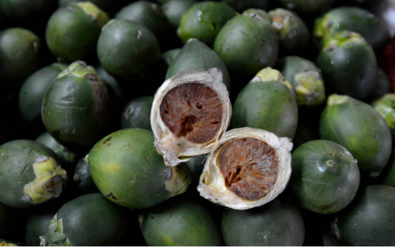 明知槟榔有害为啥不禁止,明知槟榔有毒为何还要吃