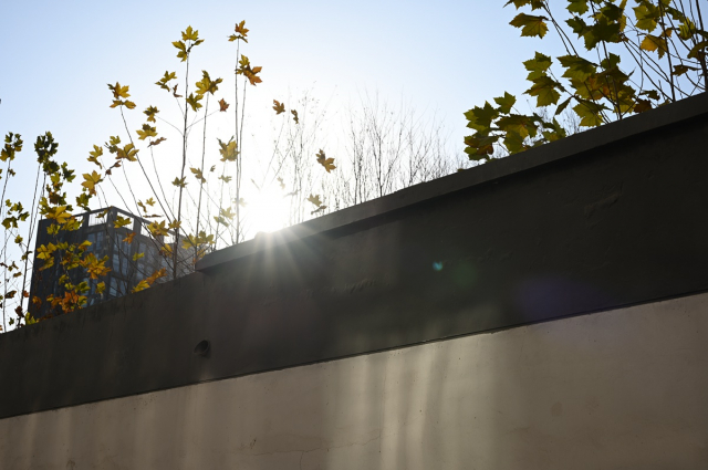 尼康z50mmf1.2s镜头,尼康z50mm1.8s镜头