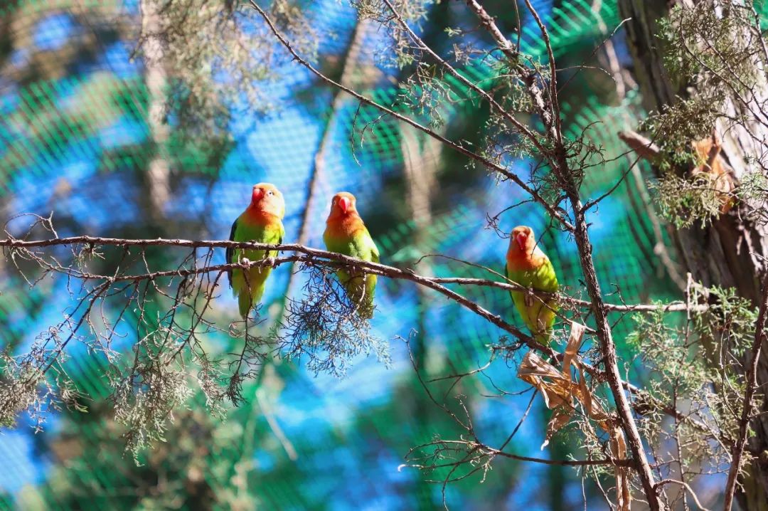 昆明亲子游户外旅行地,昆明周边户外游玩景点推荐带孩子
