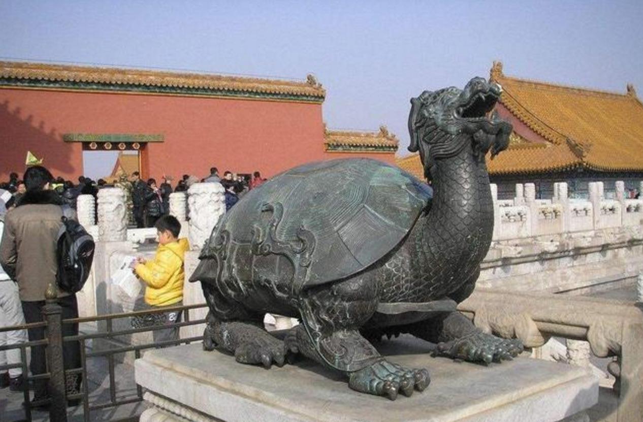 古井里有一只大乌龟,古井发现最大乌龟