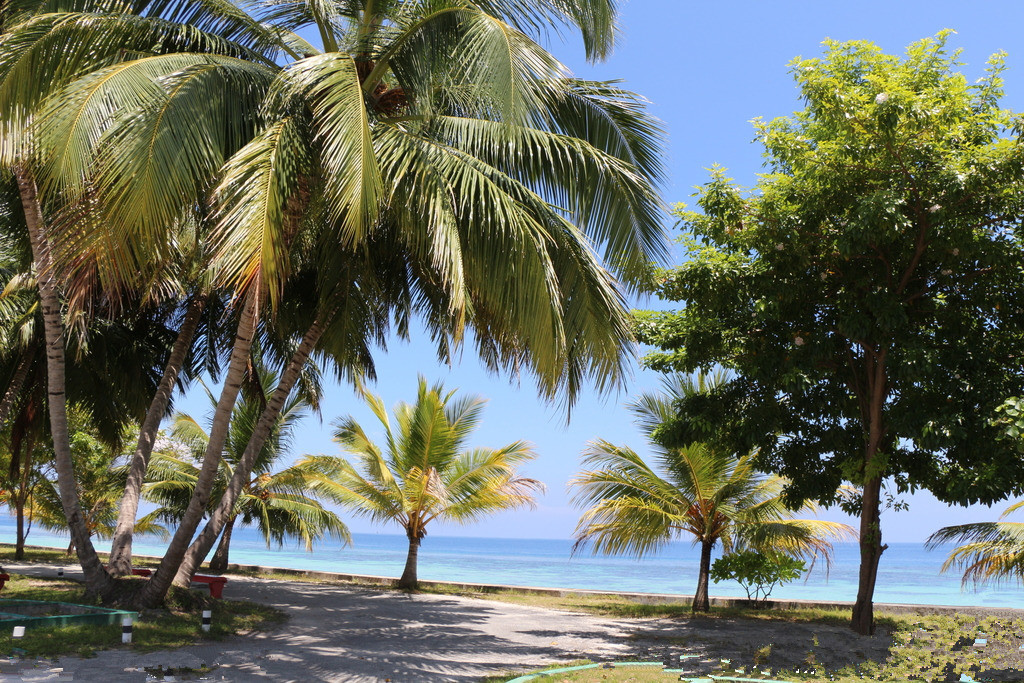 三亚蜈支洲岛中国的马尔代夫,马尔代夫度假岛推荐一日游