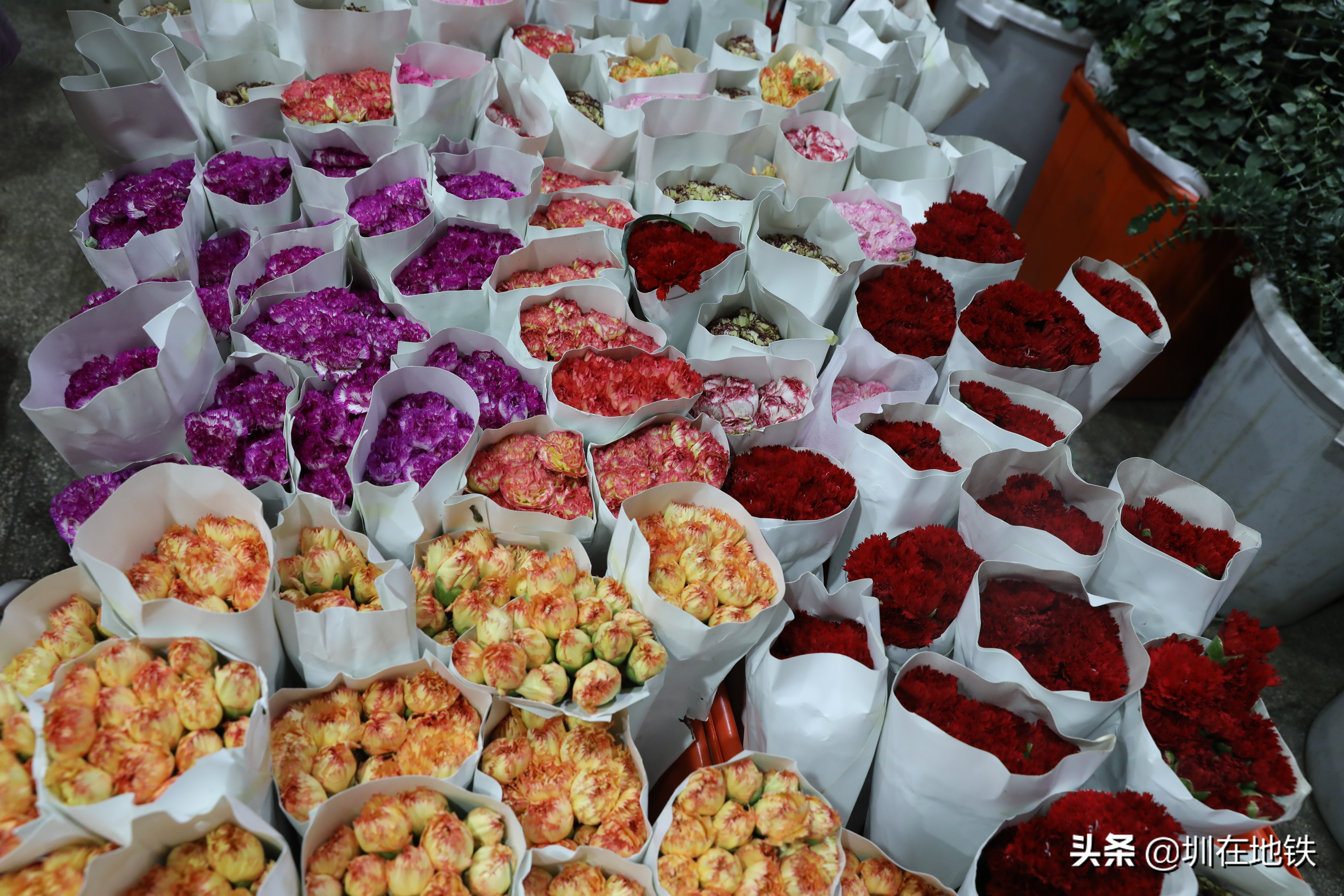 乘坐地铁到滘口花卉市场,从地铁到花卉市场