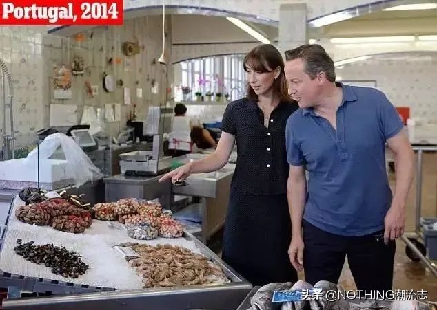 十大顶级polo品牌,polo品牌图片汇总