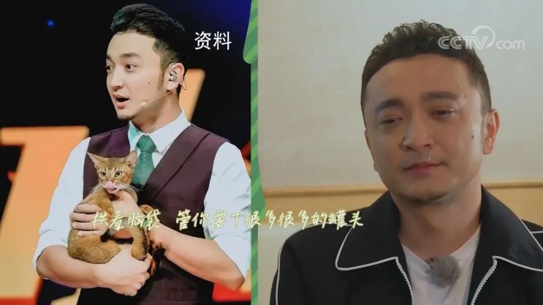 没想到,央视的名嘴们全都是猫奴