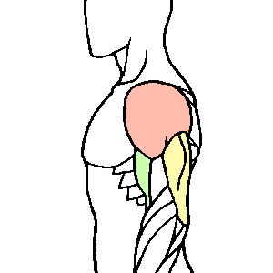 儿童最潮玩具,适合孩子玩的爆款玩具