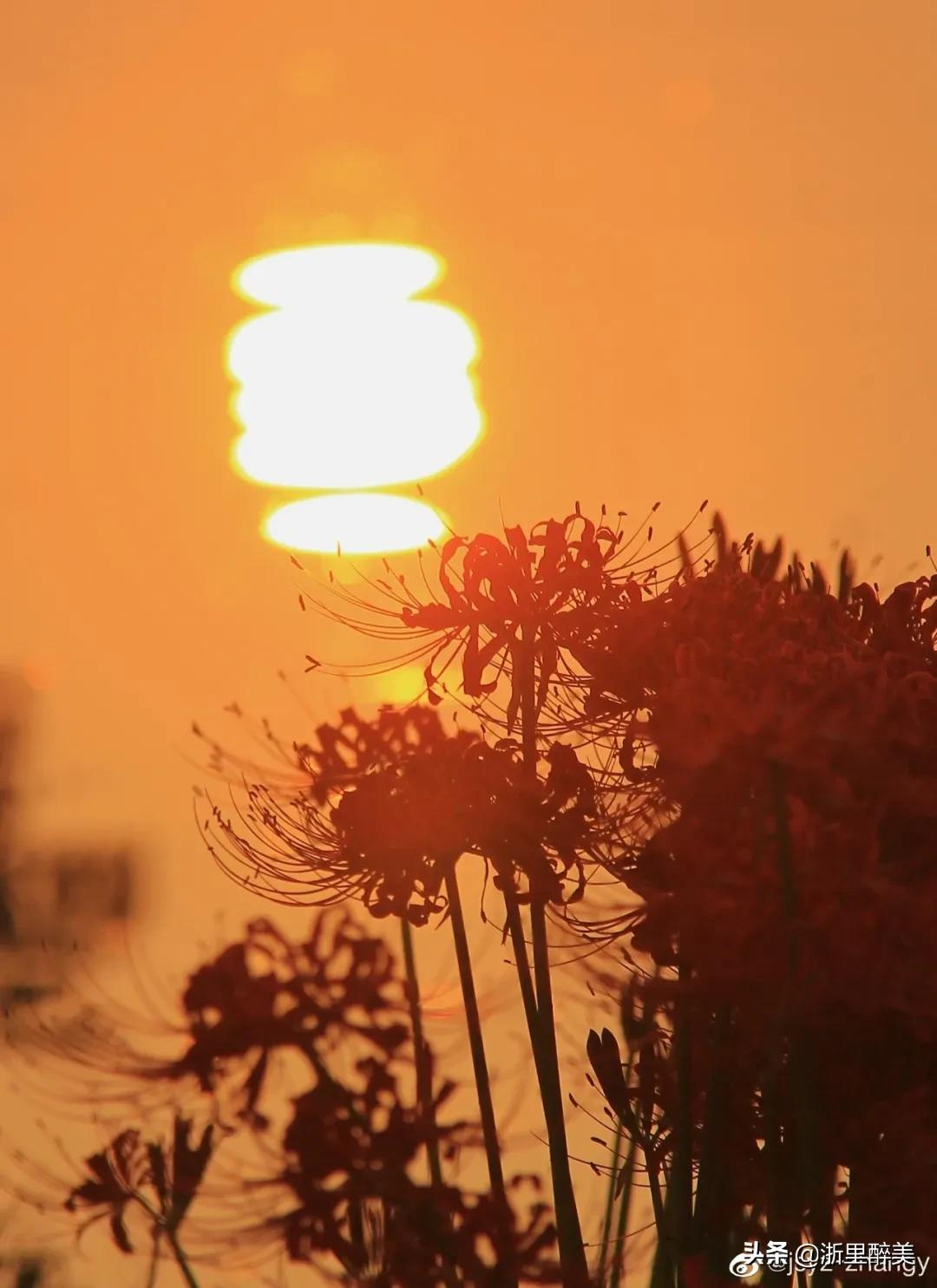 湖光秋月两相和古诗,湖光秋月两相和的诗意