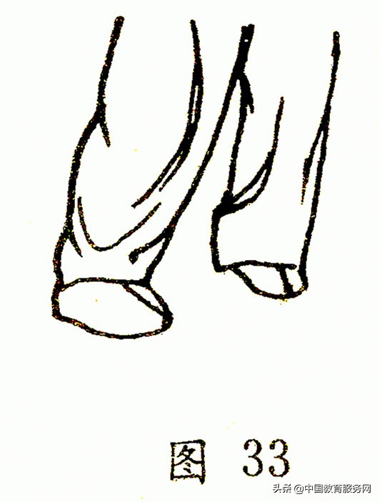 九宫旋转十二桩法,九宫八卦如何旋转