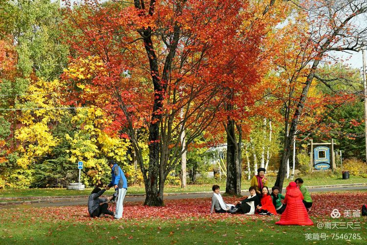 漫步魁北克体验不一样的北美风情,北美枫情蒙特利尔