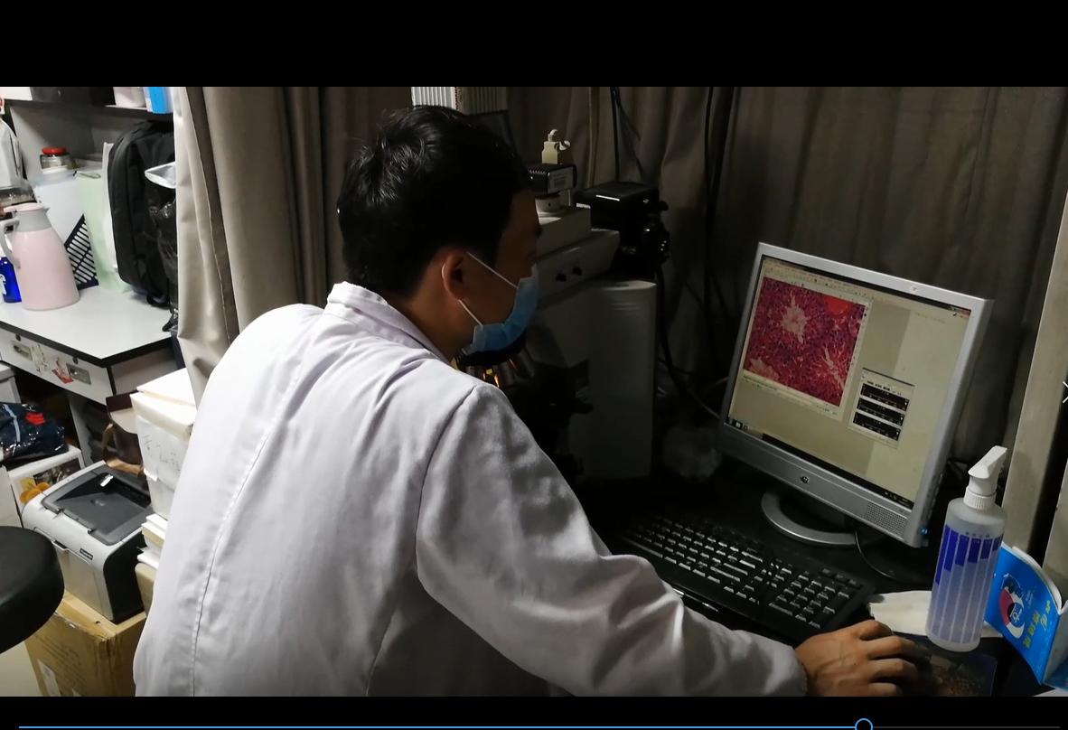 精子科学简史,生物学家辟谣精子的真相