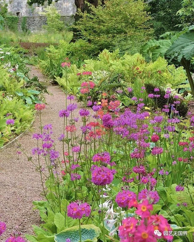 园子里的昆虫有多少,花园里的小动物哪些是昆虫