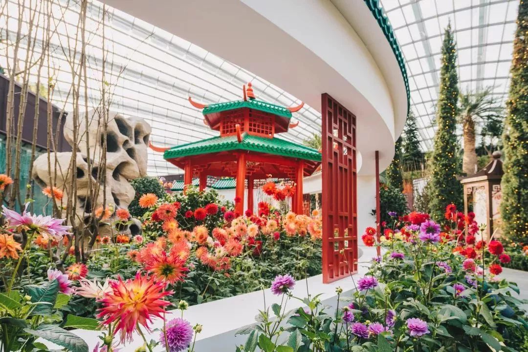 新年后去新加坡旅游 (新年在新加坡可以去哪里玩)