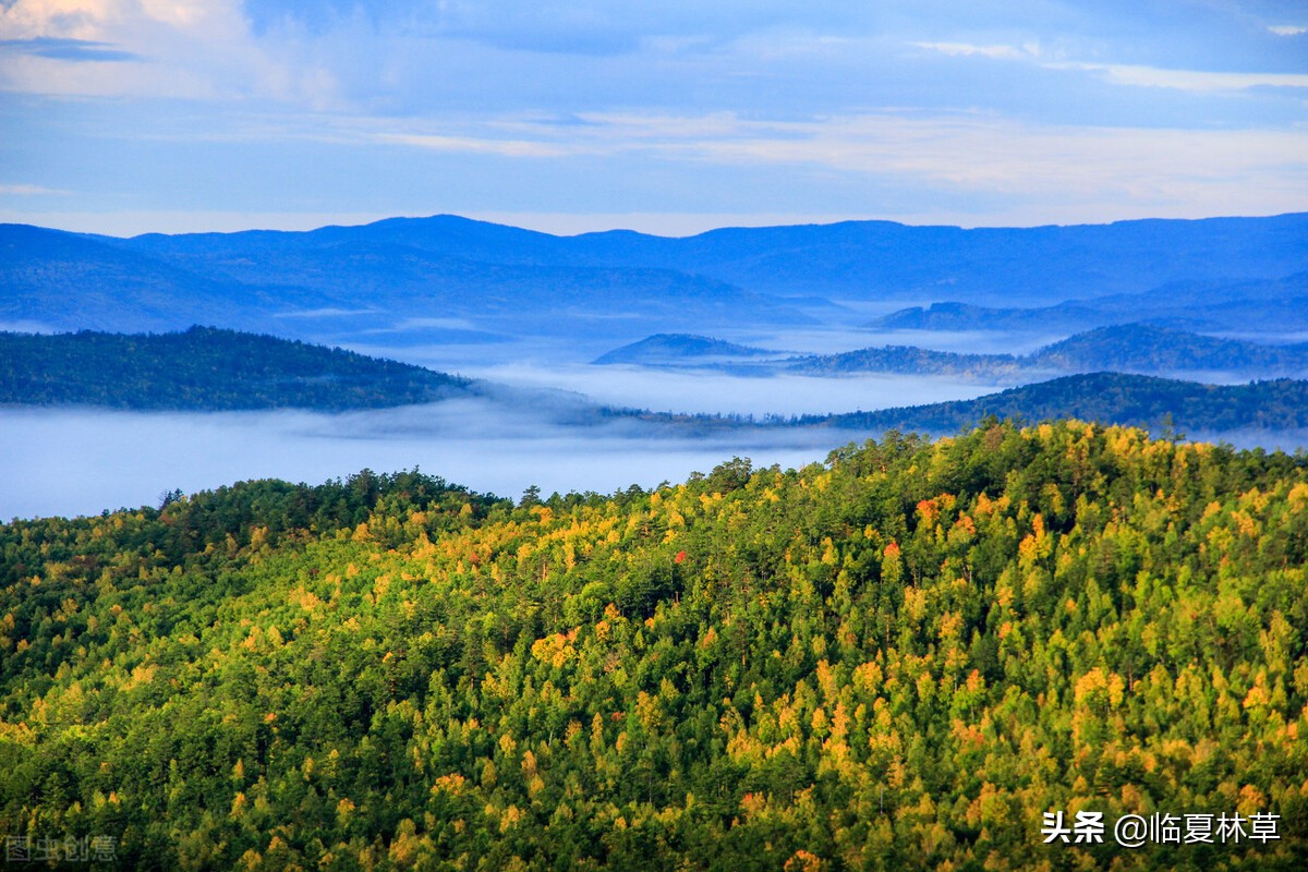 林草业务知识,林草局专业知识