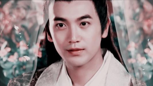 宁静当年为何不追张智尧,宁静谈张智尧