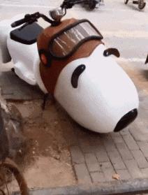 “你太低估了我的脚气，不知道还有没有救？”年轻总要付出代价