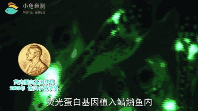 你们的*福性**危险了！24款安全套有2款急性毒超标或有损生殖能力