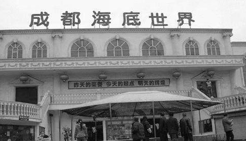 成都海洋水族馆,成都海洋馆极地海洋世界