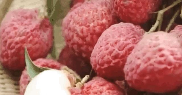 来到海南吃荔枝,到海南吃到的热带水果