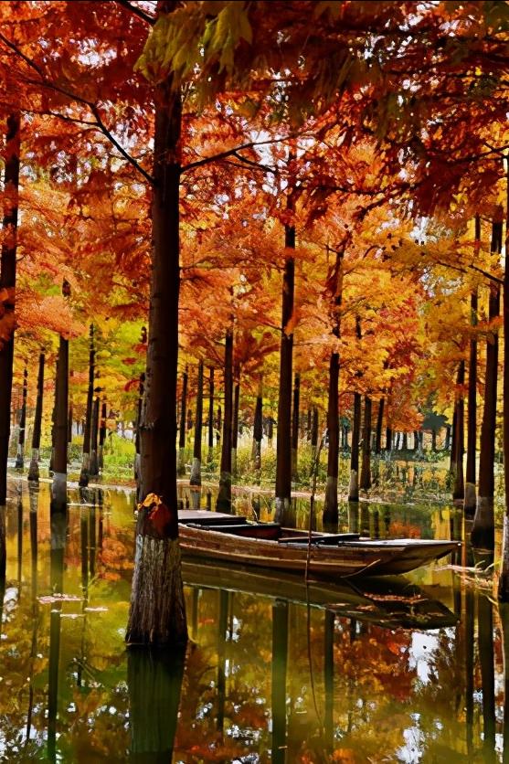 浅谈全国34个省级区域之华东篇：江苏省—宿迁市