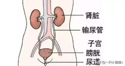 别人坐完的热凳子能坐吗,别人坐过的热板凳