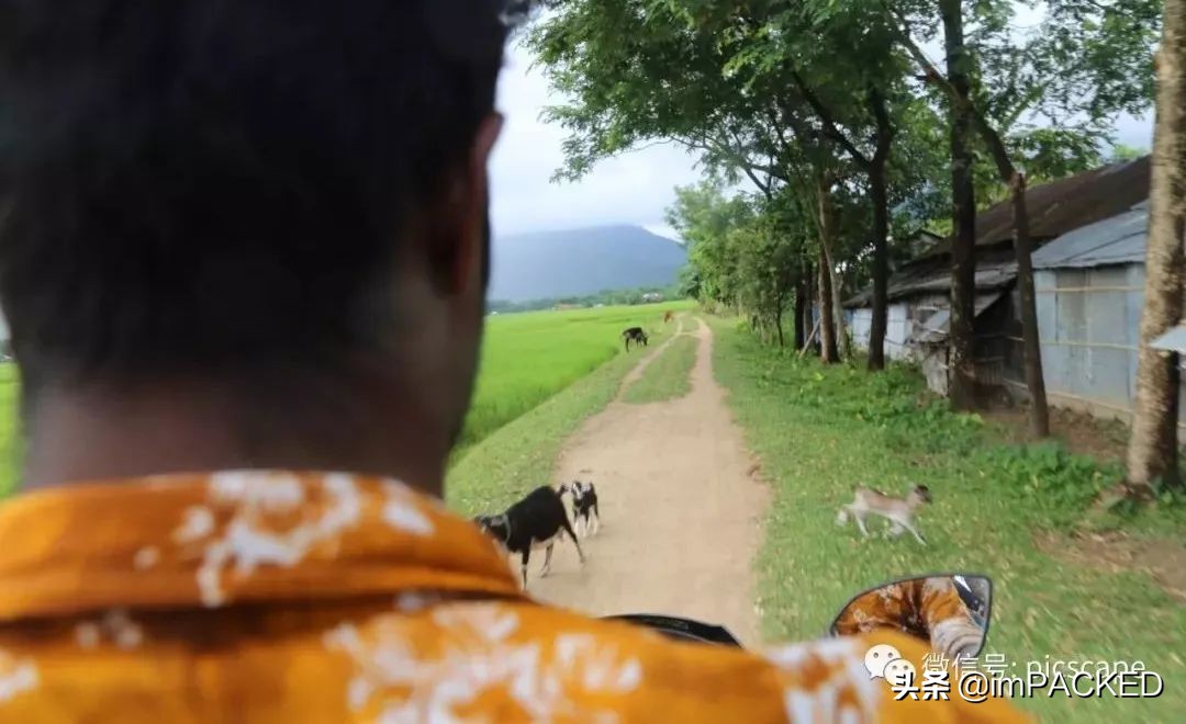 孟加拉国贫困与饥饿如何解决,孟加拉国艰难的生存之路