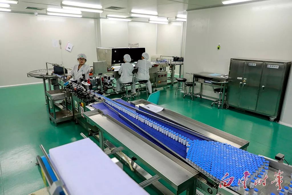 「白云名品」家中这些常备药品,原来都出自白云