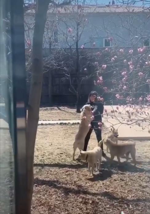 华为小公主和洪晃隔空撞衫，一个秀豪宅外的雪山，一个豪宅里遛狗