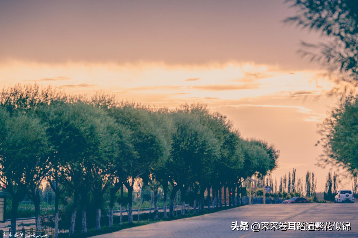 慢游景点,博斯腾湖景点打卡