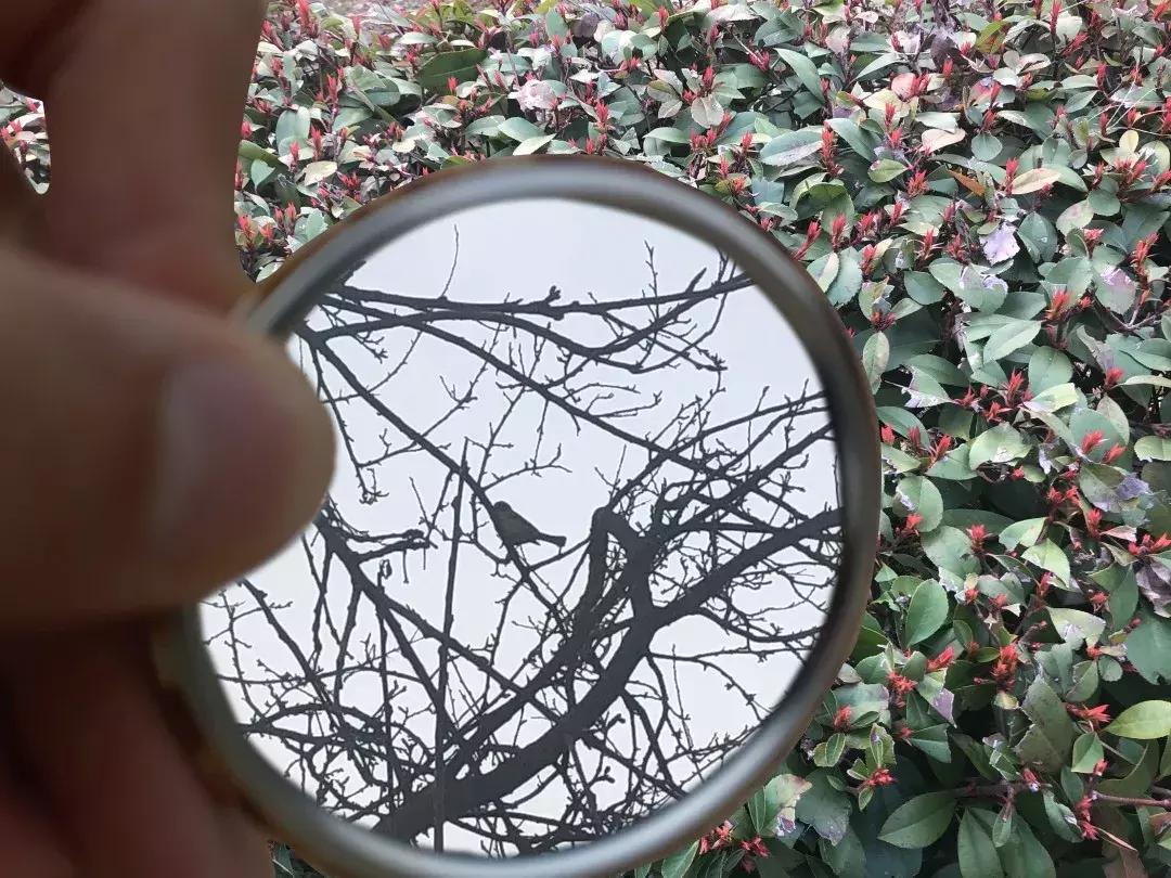 镜中的武工院，是最美？妙不可言？