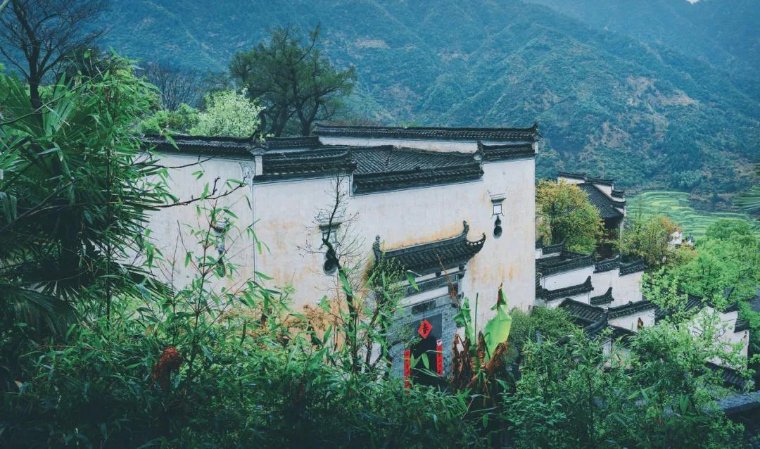 这才是中国最美的乡村,最值得去的鲜花小镇