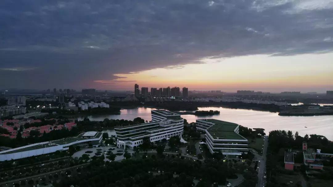 武汉经济第一镇,武汉市经济第一区