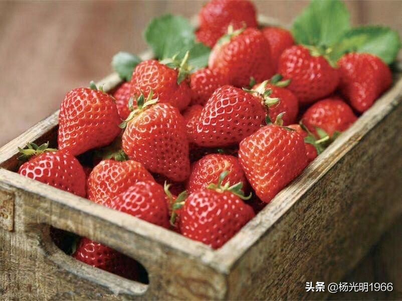 榛斾笢鍗楄嫍鏃忎緱鏃忚嚜娌诲窞鍑噷鑽夎帗 (鍑噷涓嬪徃鑽夎帗澶栭攢鎯呭喌)