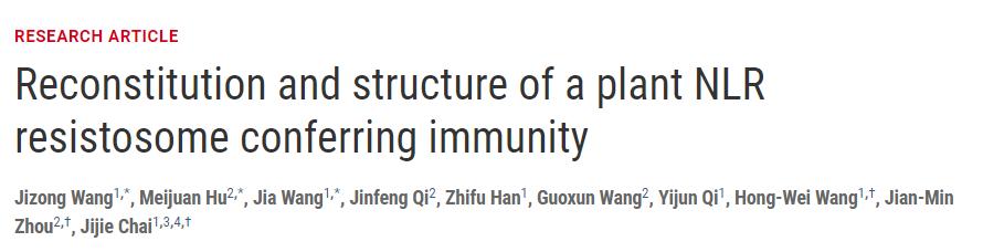 施一公与徒弟颜宁,施一公徒弟颜宁