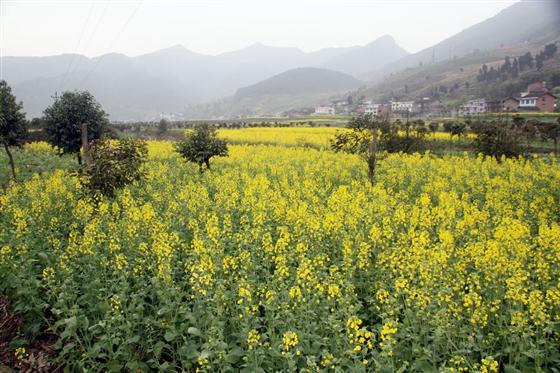 神龙峡：幽谷深深隐桃源