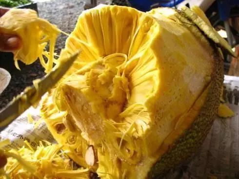 特别难剥壳的4种水果,难剥的七种水果