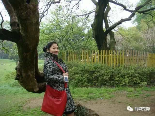 云一诗词荐读ll王惠玲的诗