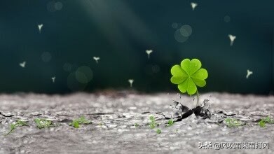 股市成长记完整视频,股票成长记