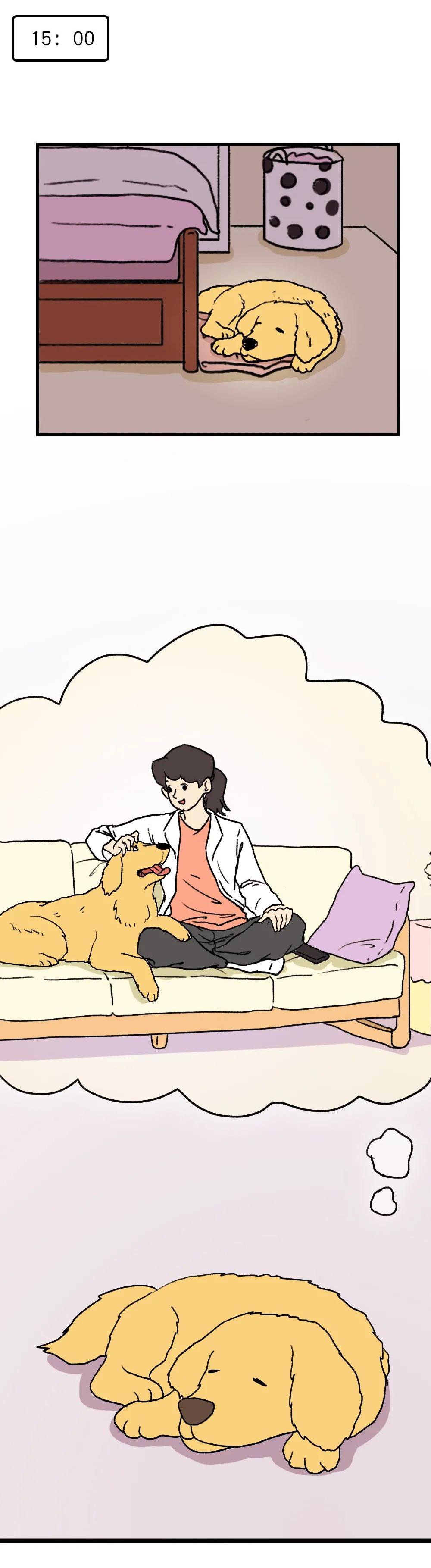 狗子在家来回踱步是什么原因,狗子为什么会很喜欢躲床底下睡觉