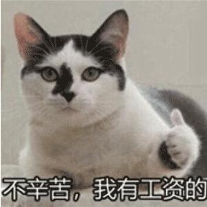 算了还是要上班系列表情包,一想到明天上班就想打个人表情包