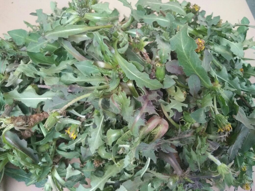 减肥药物评测,减肥瘦身药测评