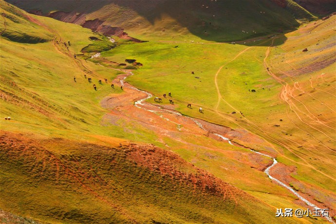 喀拉峻大草原近期实拍,探秘新疆