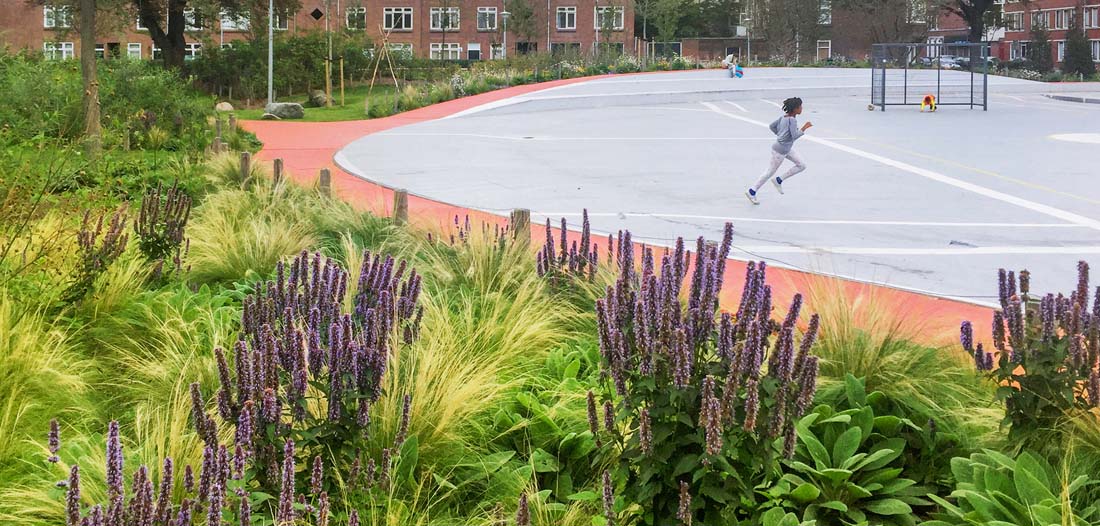 世界顶级营地设计,海外营地设计