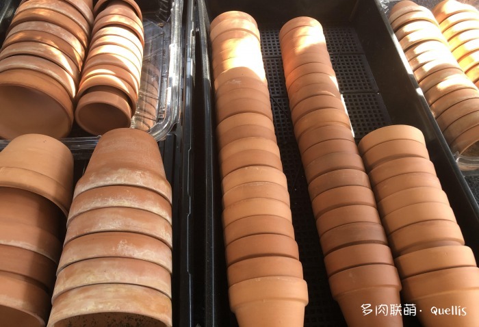 入了多肉坑又入了养鱼坑,多肉补光灯出坑