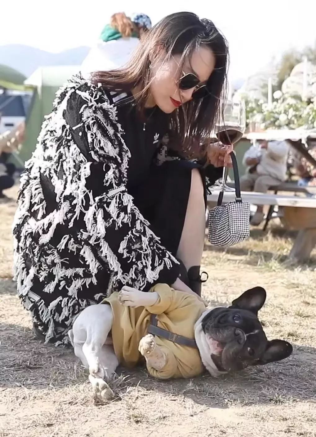 2019年，我花了30万买了19个包包