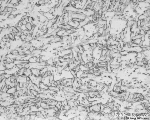 金相如何分辨奥氏体和铁素体,马氏体奥氏体金相