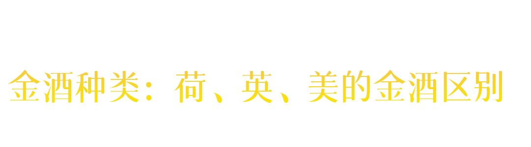 荷兰金酒怎么喝好喝,金酒一般怎么喝